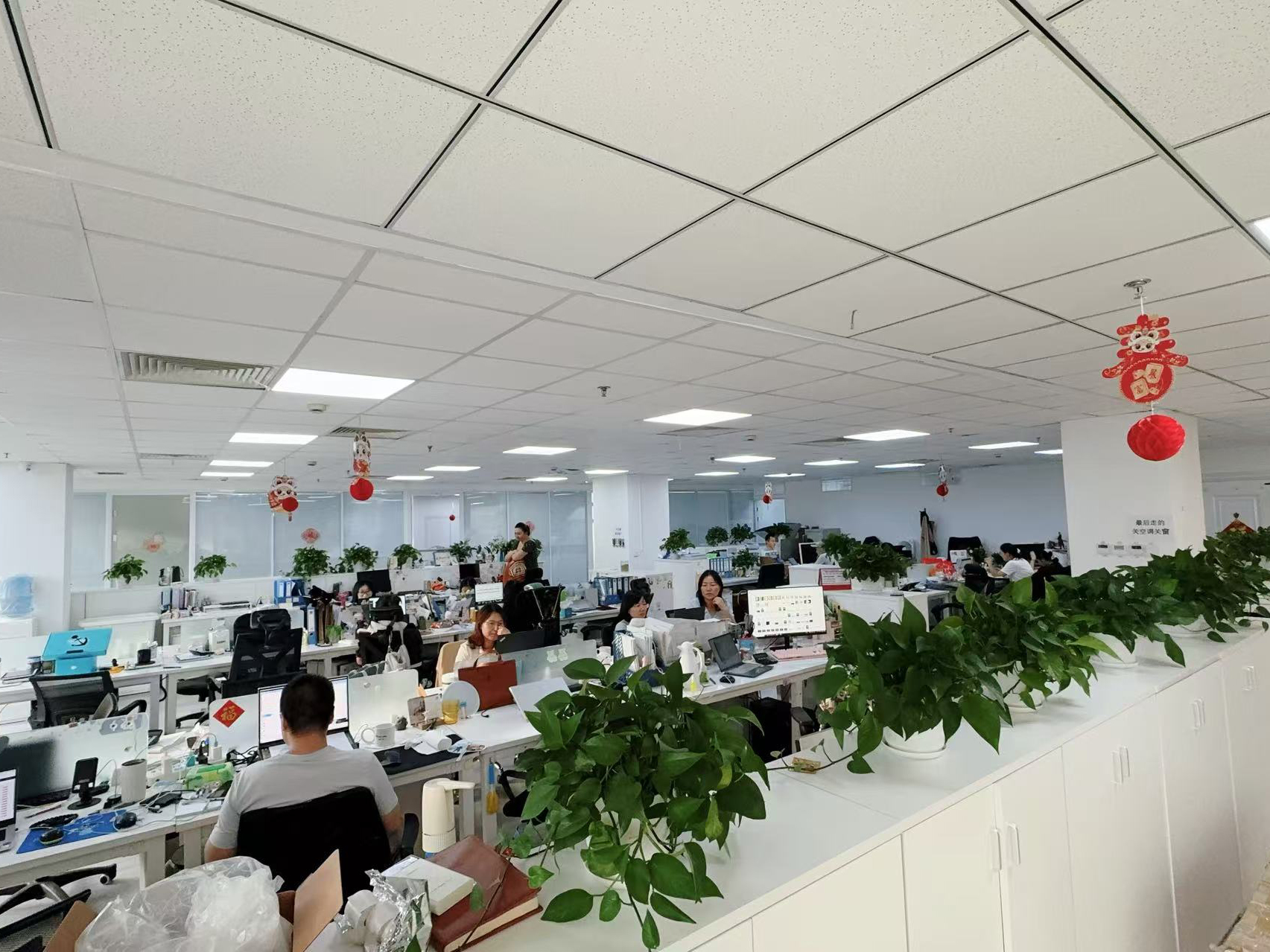 中国 Hong Kong Starsurge Group Co., Limited 会社概要