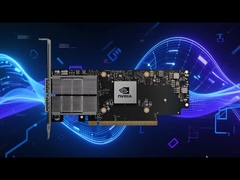 NVIDIA Mellanox ネットワークカードによる高性能ネットワーキングの実現 | NVIDIA ConnectX シリーズ Ov