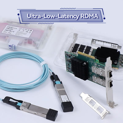 100g HDR Infiniband Mellanox 100gb Nic ネットワークインターフェース QSFP56 MCX653106A-ECAT
